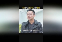 助理爆料汪小菲视频播放,助理爆料背后真相引热议