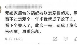 娱乐界大爆料文案怎么写,大爆料背后的惊人真相