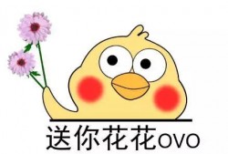 微博视频 黑哥爆料,揭秘娱乐圈惊人内幕