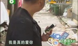 一灯爆料师傅真相视频,视频内容深度解析