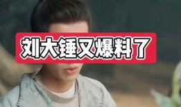 刘大锤爆料谐星视频大全,谐星搞笑视频大合集