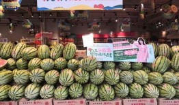 宁夏今日吃瓜爆料,揭秘今日热点事件背后的真相