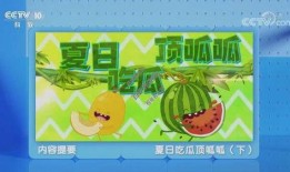 夏日在线云吃瓜免费阅读