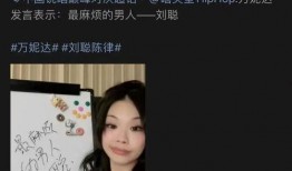 陈律和刘聪爆料视频大全,揭秘娱乐圈幕后真相