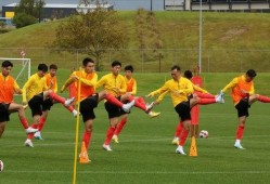 爆料国足新西兰视频大全,精彩瞬间大盘点