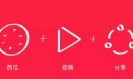 爆料西瓜视频推荐,爆款推荐背后的秘密解析