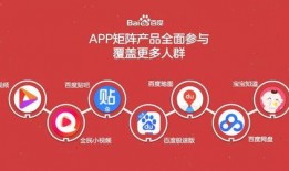 小蜜蜂百事爆料视频下载,下载背后的真相与内幕