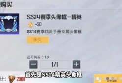 大爆料ss14最新手册,揭秘最新潮流趋势与时尚风向标