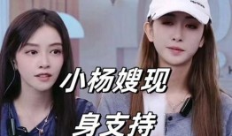 小杨嫂闺蜜爆料视频,揭秘背后惊人真相
