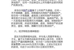 当事人爆料新闻案例,新闻背后的真相与争议