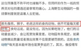 小伙爆料员工视频,揭秘职场真实一面
